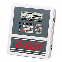GE Sensing DigitalFlow GM868